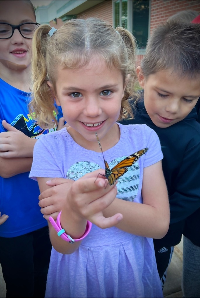 After learning about the life cycle of a butterfly, students at Jefferson Elementary were able to raise their own Monarch!