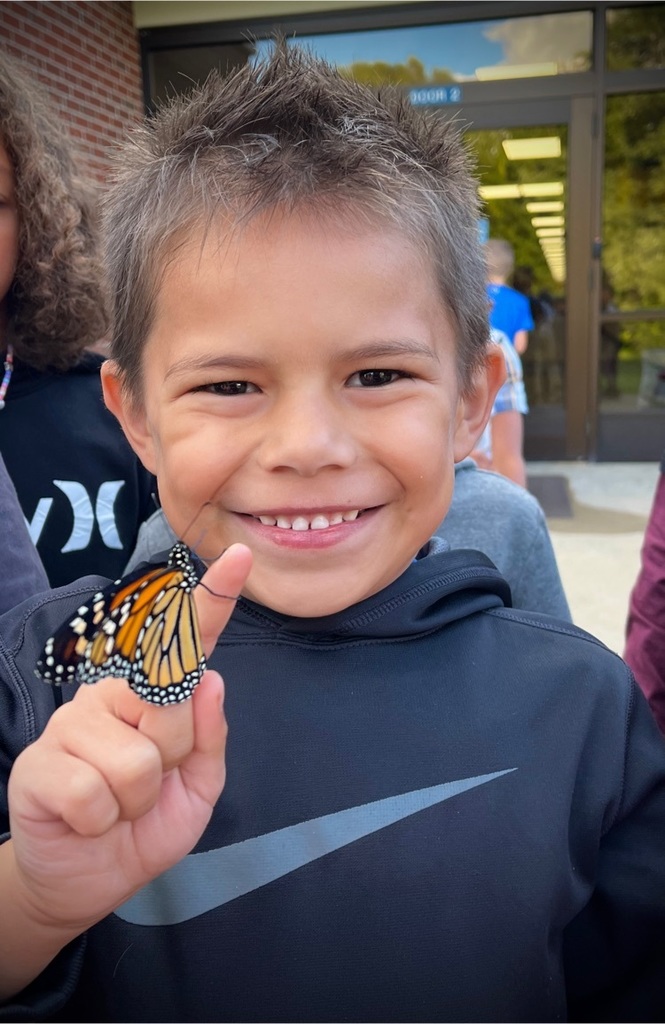 After learning about the life cycle of a butterfly, students at Jefferson Elementary were able to raise their own Monarch!