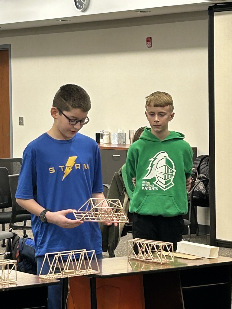 Bridge Project