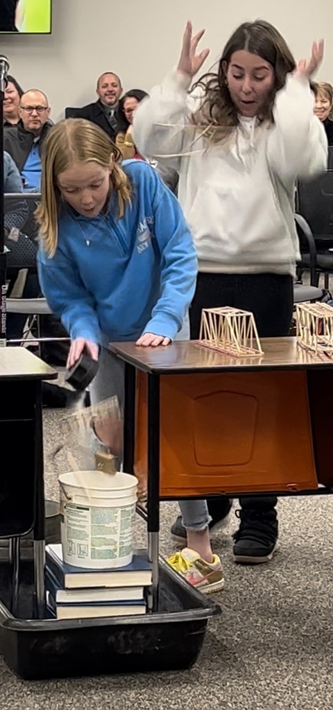 Bridge Project